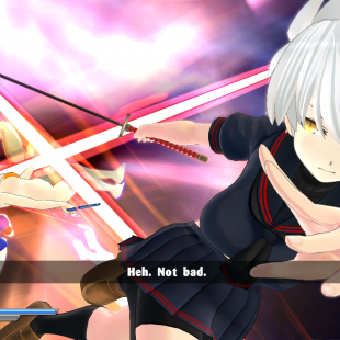 Senran Kagura : Estival Versus – Review